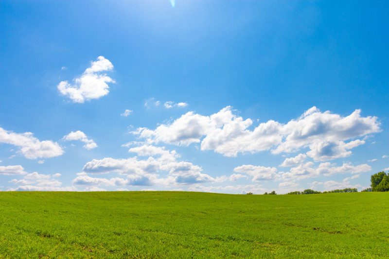 Un vaste champ vert sous un ciel bleu éclatant avec des nuages moelleux, évoquant la tranquillité.