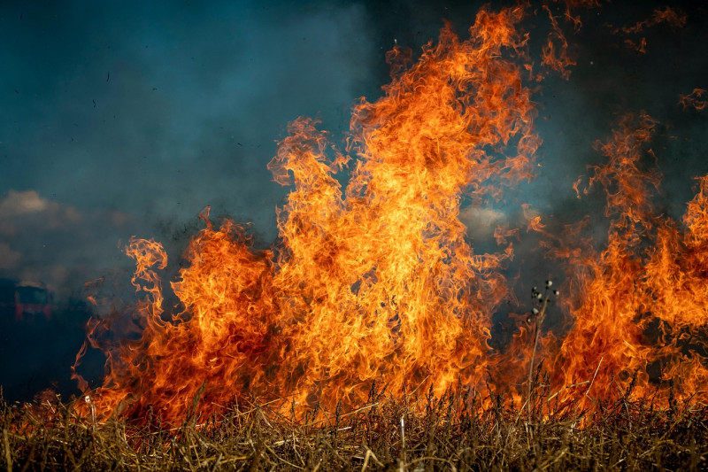 feu, sur le terrain, lutte contre l'incendie, incendies, feu de brousse, brûlant, fumée, prairie, gazon, nature, catastrophe