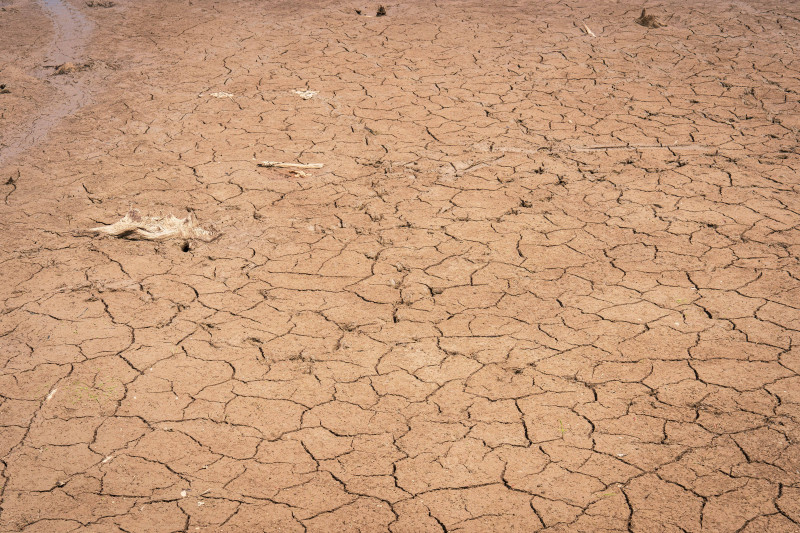 Vue détaillée d'un sol craquelé illustrant des conditions de sécheresse extrême et une aridité environnementale.