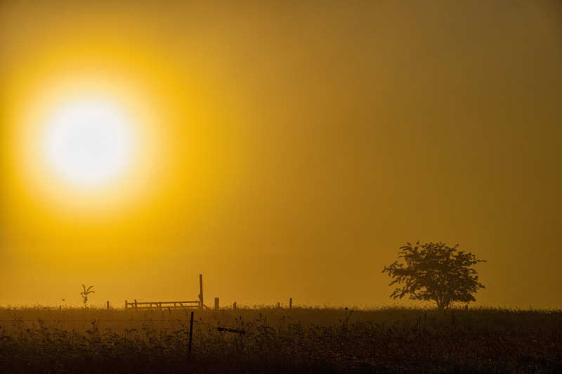 Magnifique coucher de soleil avec des silhouettes d'un arbre et du paysage à Kellogg, Minnesota.