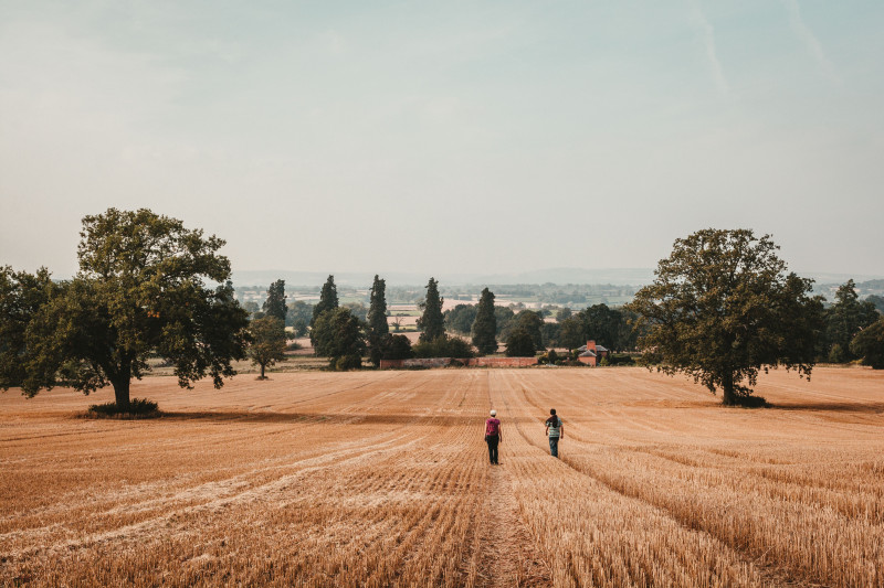 Deux personnes marchant dans un paysage de champ rural à Weobley, en Angleterre, par une journée ensoleillée.