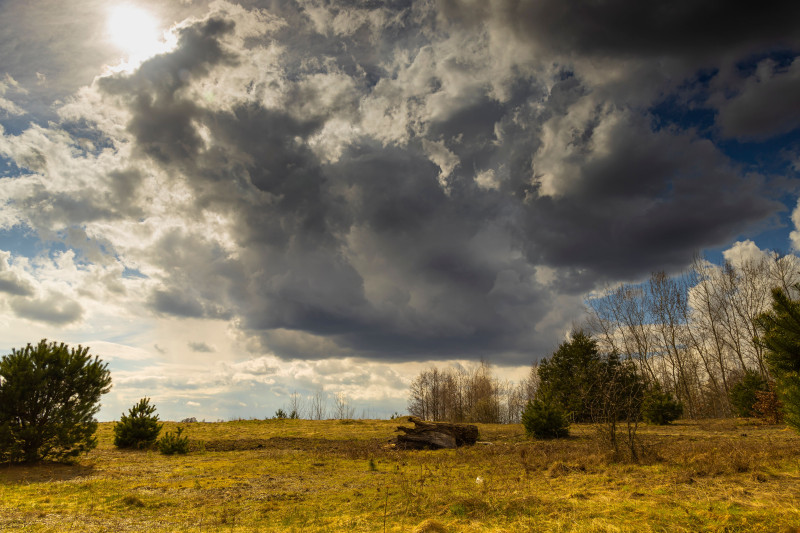 Capture d'un paysage rural sous un ciel nuageux dramatique avec une prairie éclairée par le soleil.