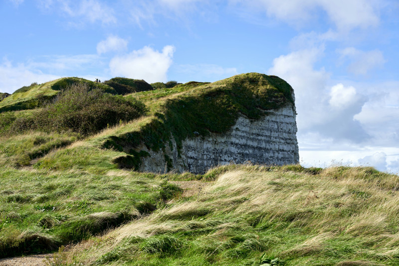 a grassy hill with a cliff in the background