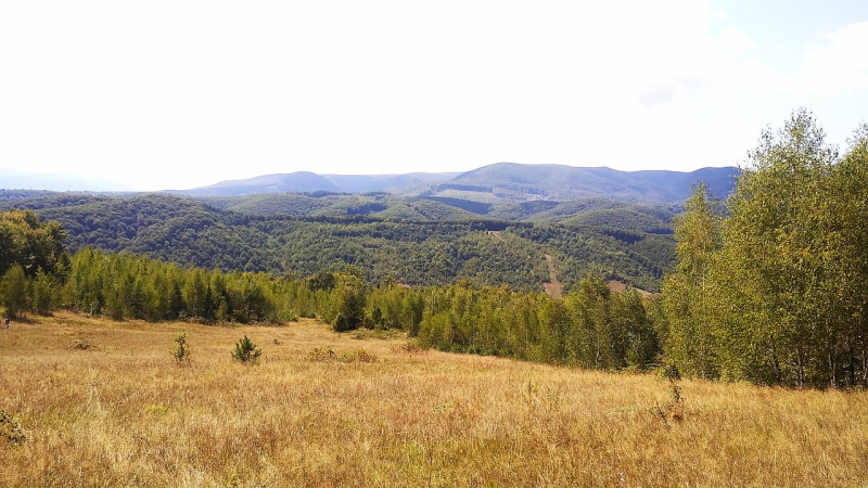lhiking, prairie, europe, vue, magnifique, le printemps, summer, alps, valley, wilderness, neige, domaine, environnement, nature, peak, countryside, sunny, ferme, grass, mountain