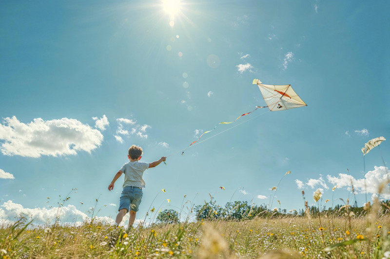 enfant, cerf-volant, campagne, chéri, sunny, l'été, la nature, liberté, jouer, plein air, bleu, vert, amusement, petite enfance, fly, exercer, prairie, félicité, journée, léger, paysage, des nuages, air, mouvement