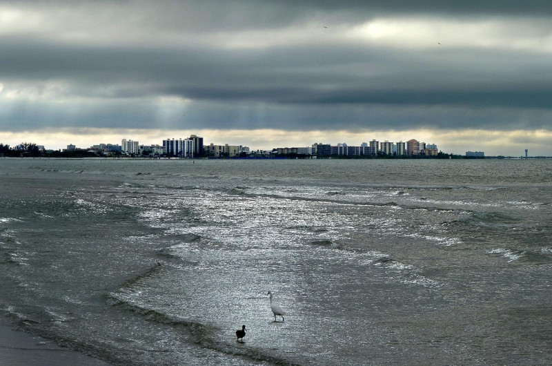 sea, storm, birds, water, sky, clouds, landscape, city, usa, skyscrapers, mer, orage, oiseaux, l'eau, ciel, nuages, nature, paysage, ville, gratte-ciel