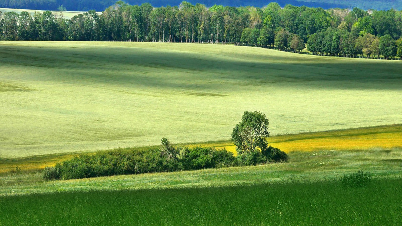 environment, green, landscape, countryside, shadows, light, nature, rural, scenic, summer, france, agriculture, environnement, vert, paysage, campagne, ombres, lumière, scénique, été