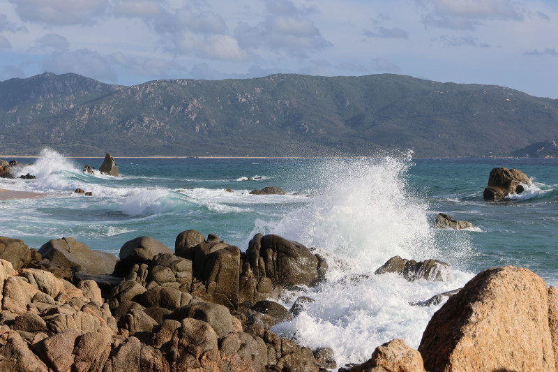 Vue imprenable sur les vagues de l'océan se brisant contre le rivage rocheux sous un ciel dégagé.