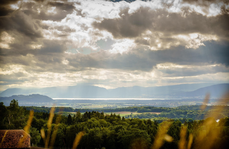lac, ensoleillé, conditions météorologiques, frieswil, bern, suisse, des nuages, soleil, ciel, paysage, nature, gazon, extérieur, l'été, la campagne