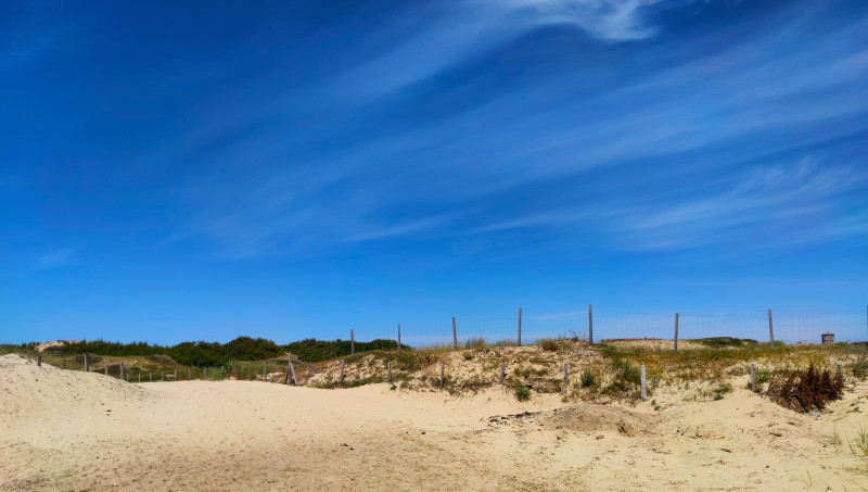 Dunes de sable paisibles sous un ciel bleu vibrant à la plage de Capbreton, France.