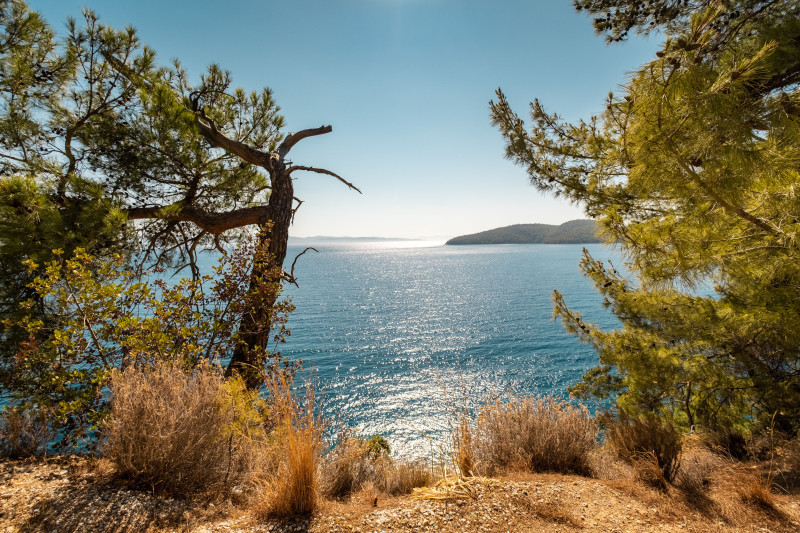 Vue imprenable de la côte méditerranéenne de la Turquie avec des arbres luxuriants et des eaux bleues étincelantes.