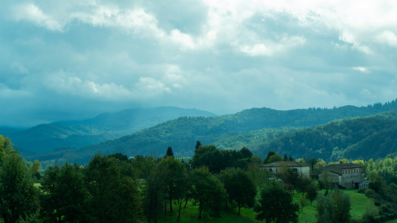 A scenic view of a lush green valley