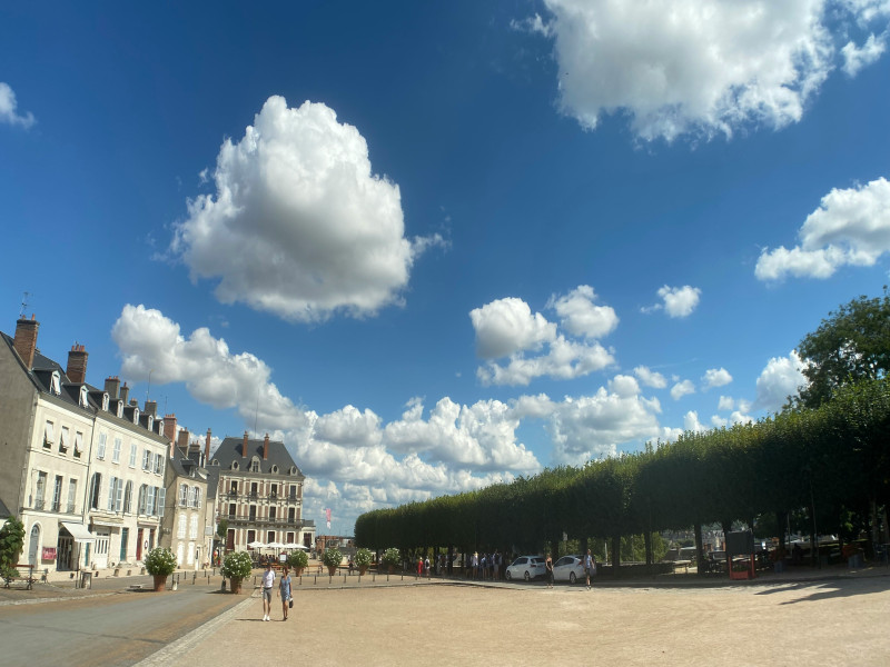 Château Royal de Blois