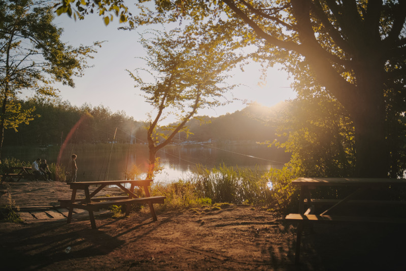 Vivez la sérénité au bord d'un lac paisible durant un lumineux coucher de soleil d'été, parfait pour se détendre.