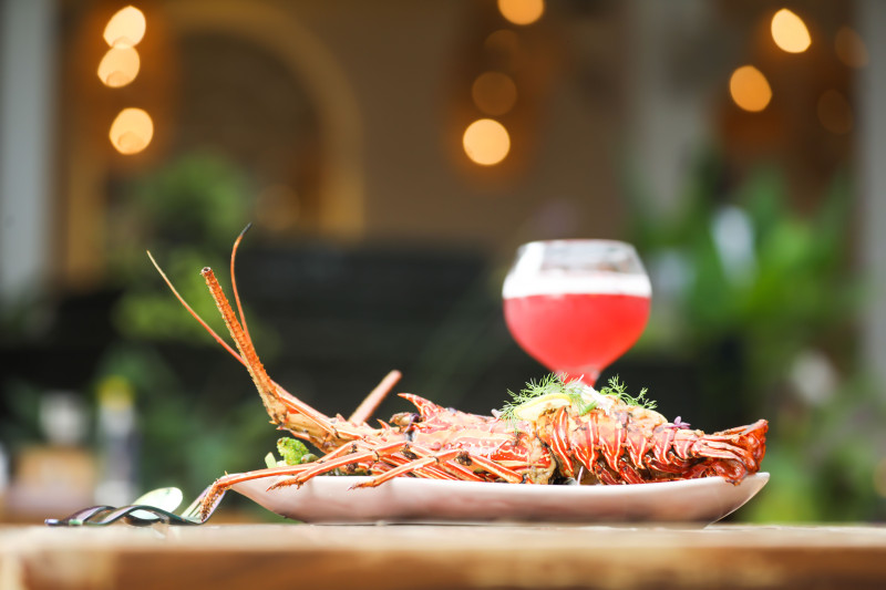 Un client paye 300 euros une langouste... pour la rejeter à la mer