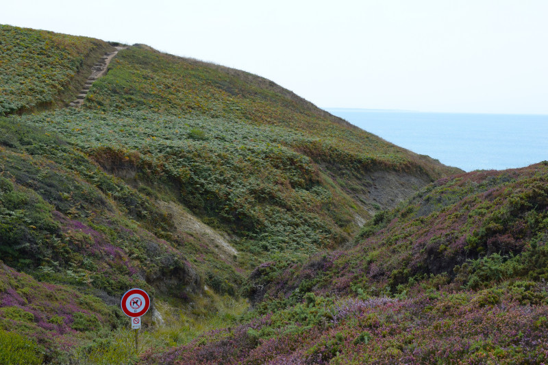 Vue panoramique des collines herbeuses menant à l'océan à Camaret-sur-Mer, France.