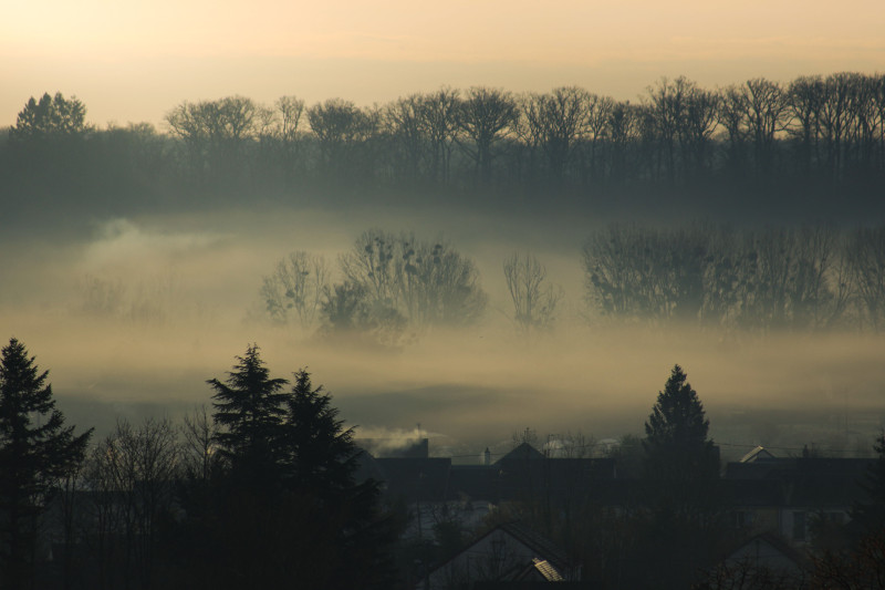 Lever de soleil captivant sur un paysage brumeux à Blois, France, avec des arbres et des maisons embrumés.