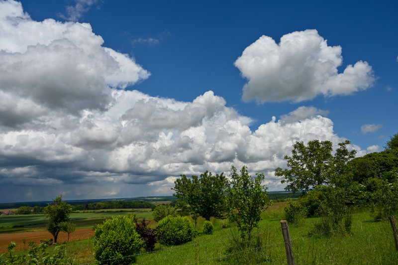 Campagne verdoyante sous un ciel bleu vibrant avec de grands nuages blancs.