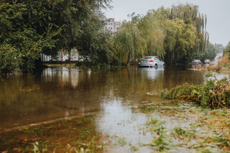 Une voiture traversant une rue inondée entourée d'arbres luxuriants et de bâtiments urbains.