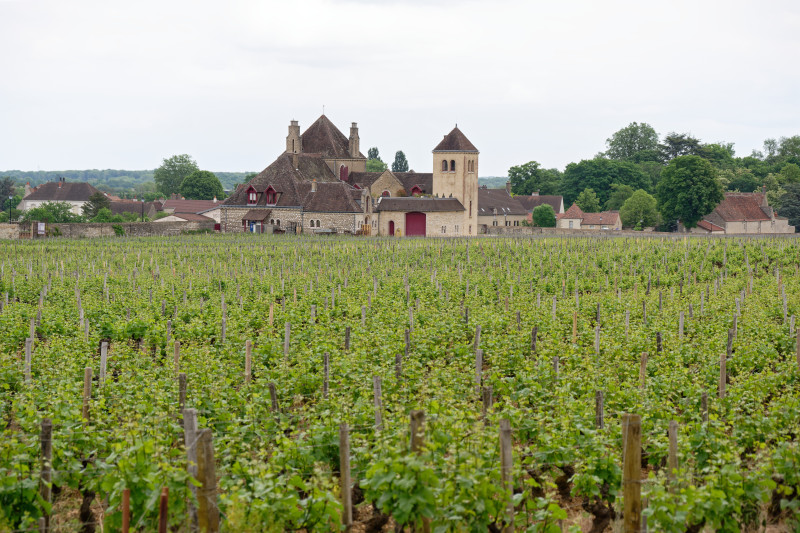 Vue pittoresque du Château Clos de Vougeot entouré de vignes en Bourgogne, France.