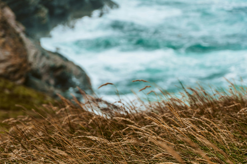 Photo of the windy coast of the Falkland Islands