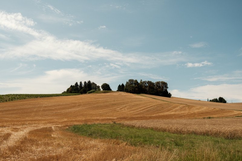 Paysage rural expansif avec des champs vallonnés, des arbres et un ciel vif.