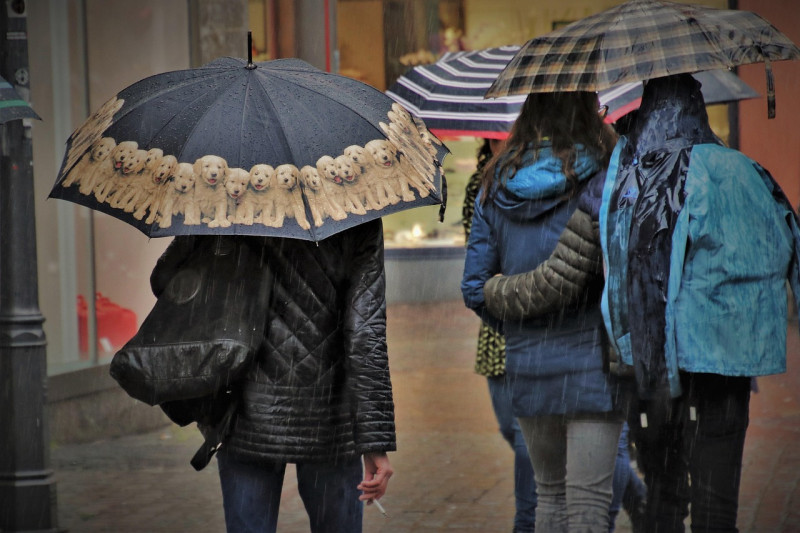 parapluie, pluie, humide, de la rue, urbain, rainy day, l'eau, la personne, homme, personnes, parapluies, nature, sous la pluie, tache, goutte de pluie, tristement, les gouttes de pluie, morgrntau, veste, urban street