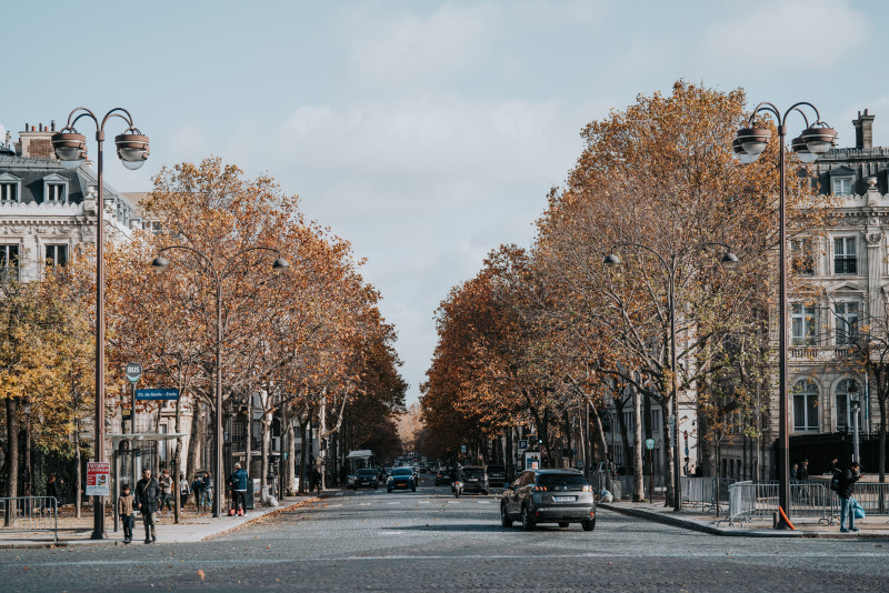 Une paisible journée d'automne dans une rue animée de Paris, bordée d'arbres et d'architecture classique.