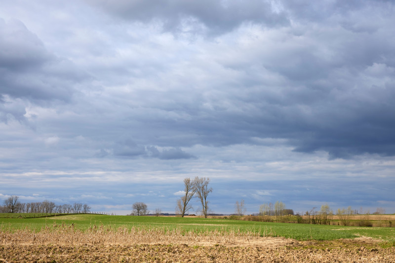 Un paysage rural paisible avec des champs, des arbres dénudés et un ciel couvert.