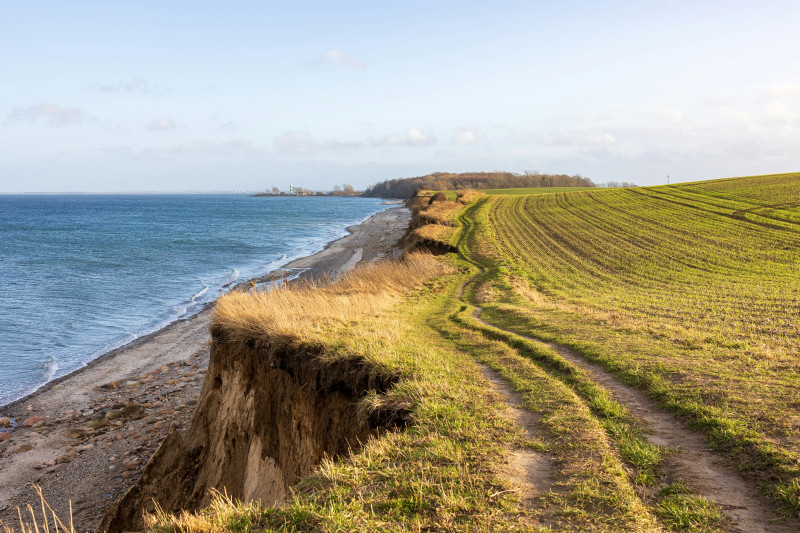 a dirt path leading to a beach next to the ocean