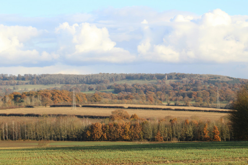 a large field with trees in the background