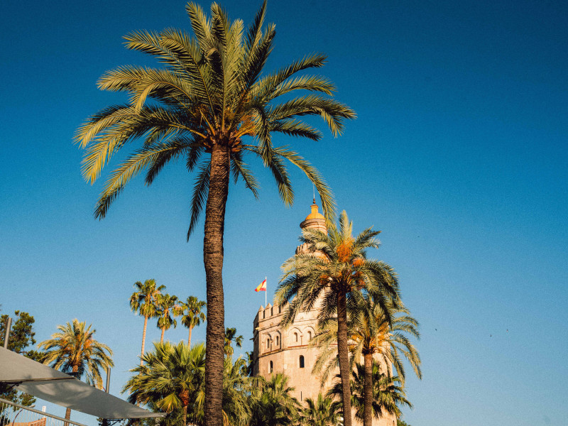 Vue magnifique de la Torre del Oro entourée de palmiers sous un ciel bleu azur à Séville, en Espagne.