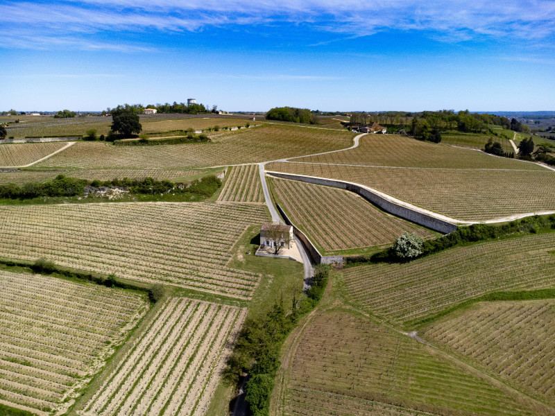 Bordeaux Region St-Emilion Vineyards