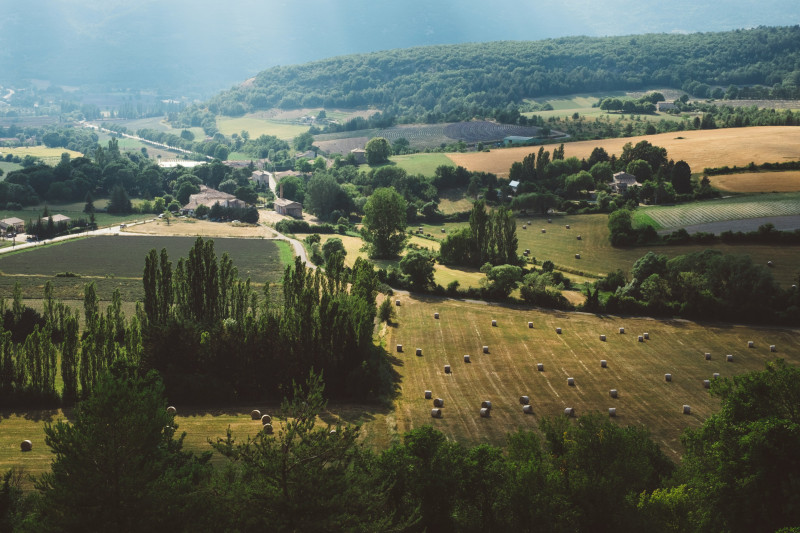 Serene countryside
