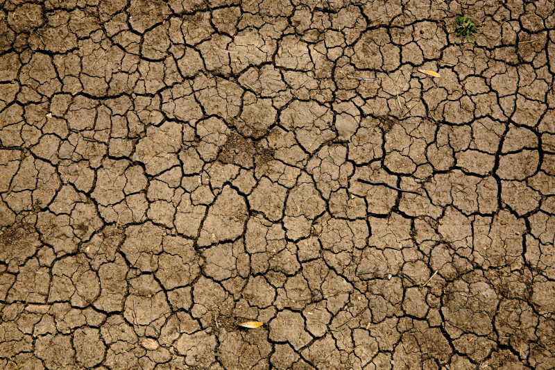 Dry brown earth with a network of deep cracks across the surface