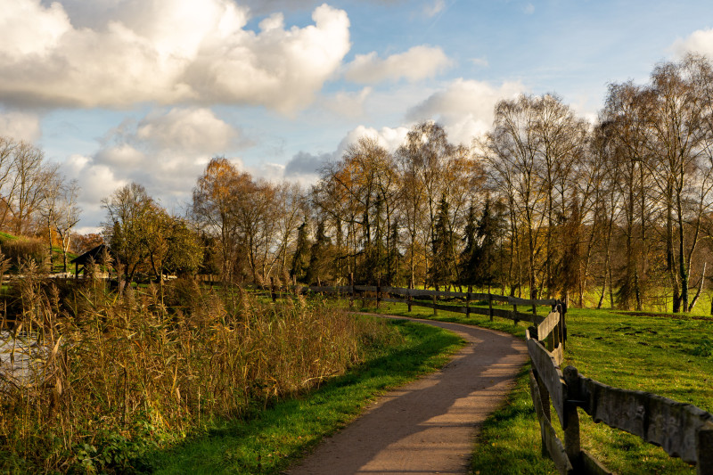 Paysage d'automne tranquille avec un chemin sinueux et un feuillage vibrant à Harsewinkel, en Allemagne.