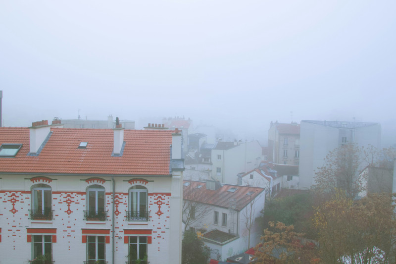Foggy urban landscape with buildings and trees