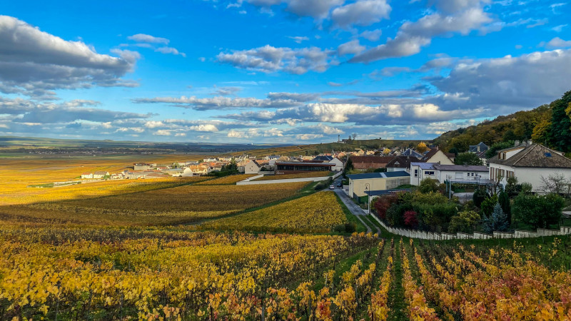 French village and vineyards in Champagne