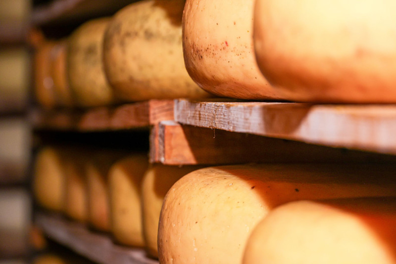 Sécheresse : la filière du fromage bénéficie d'assouplissements