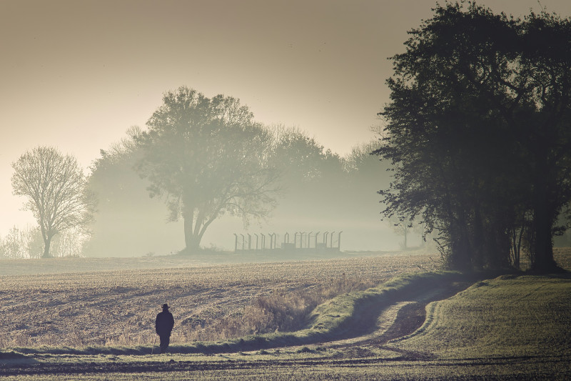 early in the morning in Normandy