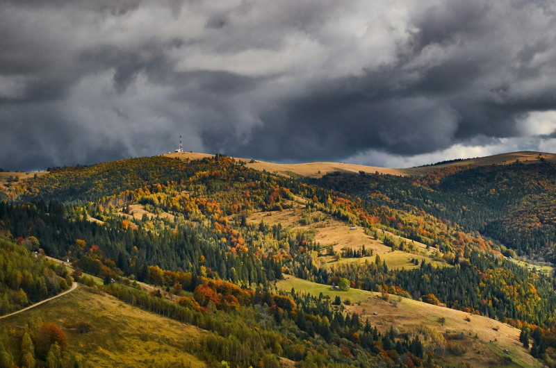 green trees on mountain under cloudy sky during daytime
