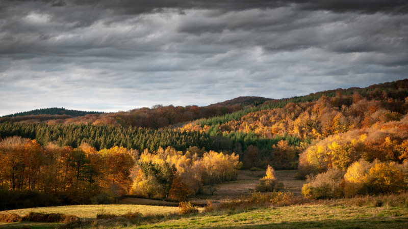 Vue panoramique des collines boisées avec un ciel nuageux en arrière-plan pendant la journée