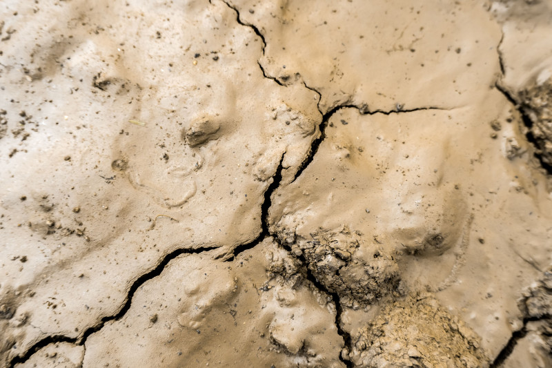 Vue détaillée de la texture d'un sol craquelé, mettant en évidence des problèmes environnementaux tels que la sécheresse et la désertification.
