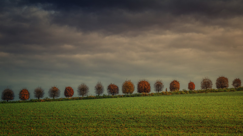 Champ d'herbe sous les nuages sombres