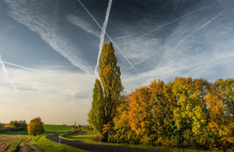 Belle route traversant les grands arbres sur un terrain herbeux avec le ciel nuageux