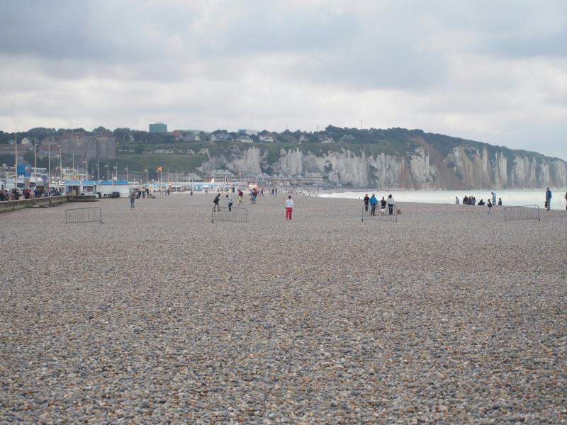 people on beach during daytime