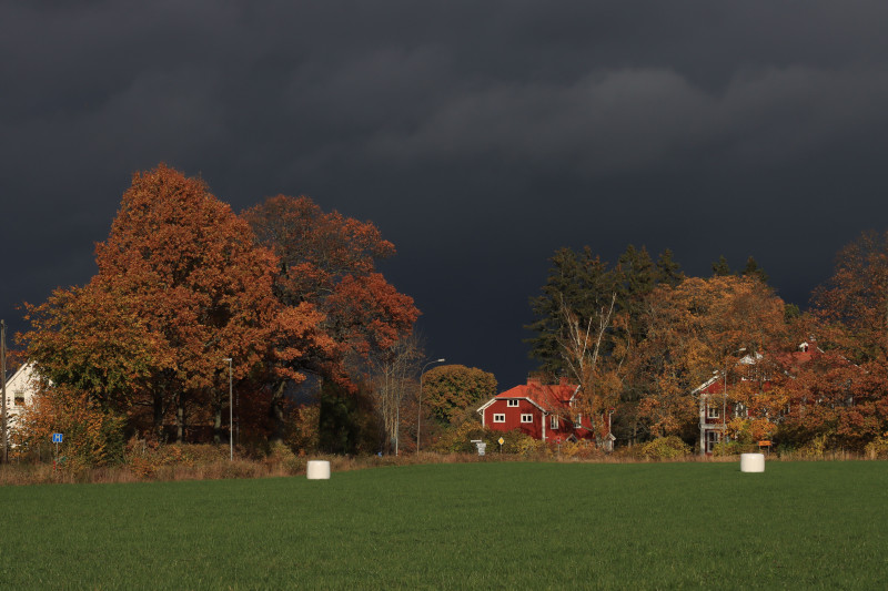 Une scène d'automne vive avec des nuages sombres au-dessus d'arbres colorés et de maisons à la campagne.