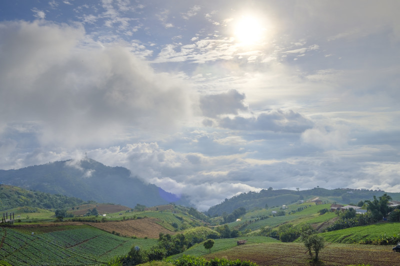 paysage de forêt et de montagne