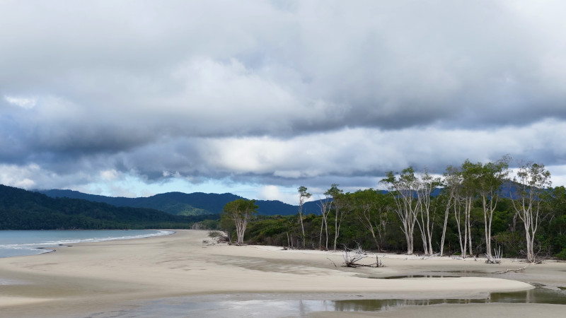 Vue aérienne panoramique d'une plage tropicale et d'une forêt tropicale sous un ciel orageux