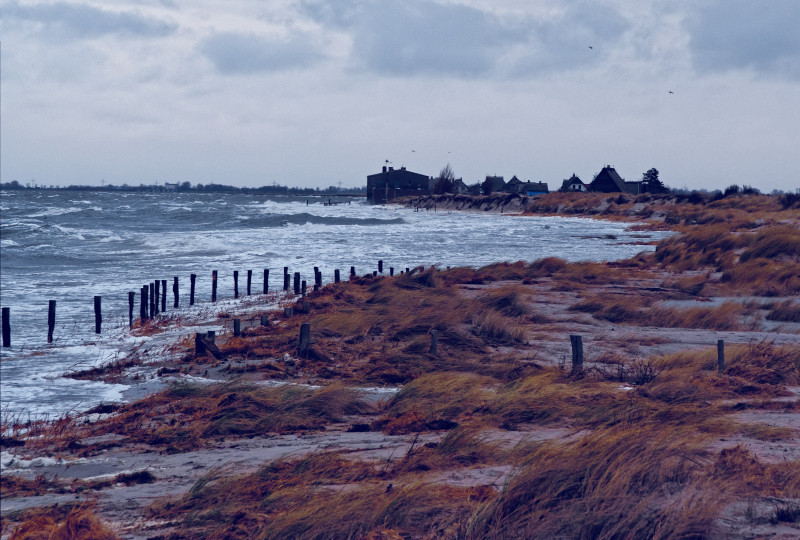 Atterrir avec beaucoup de buissons près de la mer sous un ciel nuageux